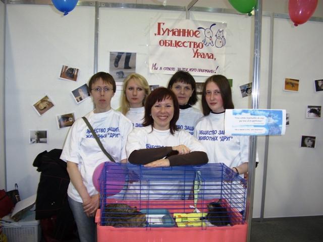 Фото Выставка кошек в Челябинске помогла бездомным котятам обрести хозяев