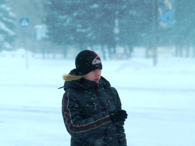 Фото В Челябинской области пасмурно и снег