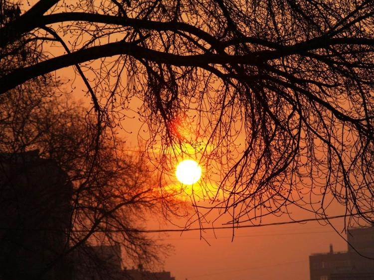 Фото В Челябинской области тепло, переменная облачность, без осадков