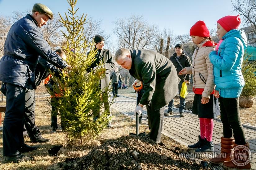 Фото До 2023 года в Магнитогорске высадят более 10 тысяч деревьев за счёт ММК