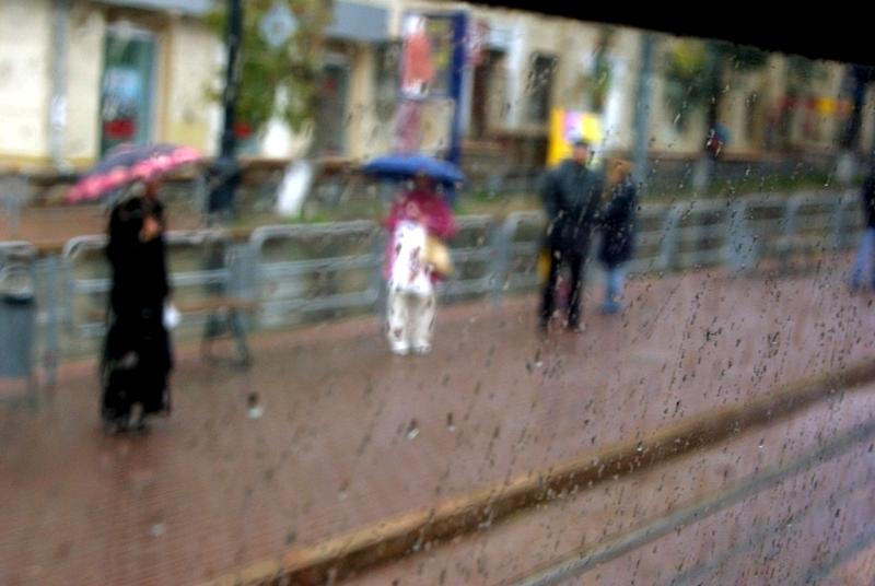 Фото В Челябинской области дождливо и ветрено