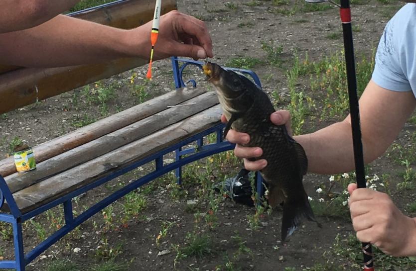 Фото В Челябинской области так и не могут навести порядок с платной рыбалкой