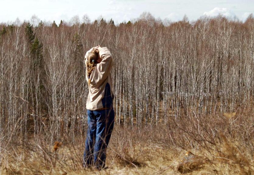 Фото Челябинцев приглашают на большую посадку леса в окрестности Кременкуля