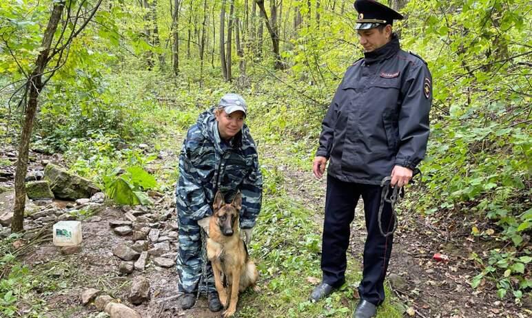 Фото Полицейские Ашинского района спасли попавшую в беду собаку и нашли ей дом