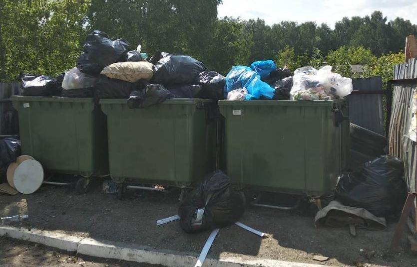Фото В Миассе случился мусорный коллапс – общественники пожаловались в прокуратуру