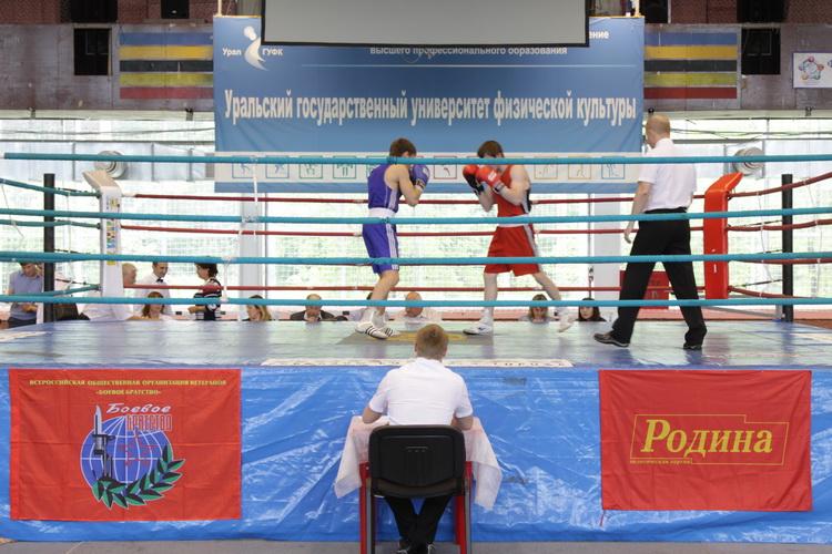 Фото В Челябинске «Родина» сделала турнир по боксу традиционным