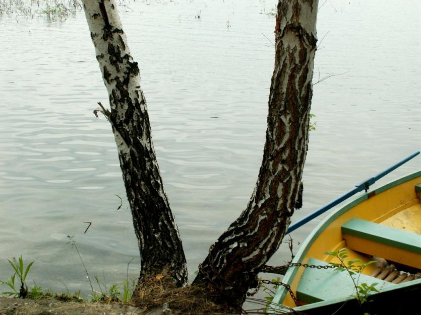 Фото На озере Увильды проходит «Рок-н-рольное лето»