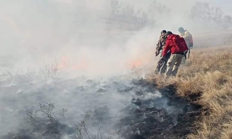 Фото В Челябинской области зафиксирован первый лесной пожар