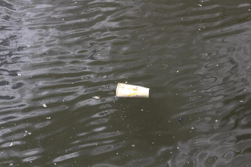 Фото Мебель, зонт и мягкие игрушки: челябинские активисты собрали 20 пакетов мусора на реке Миасс