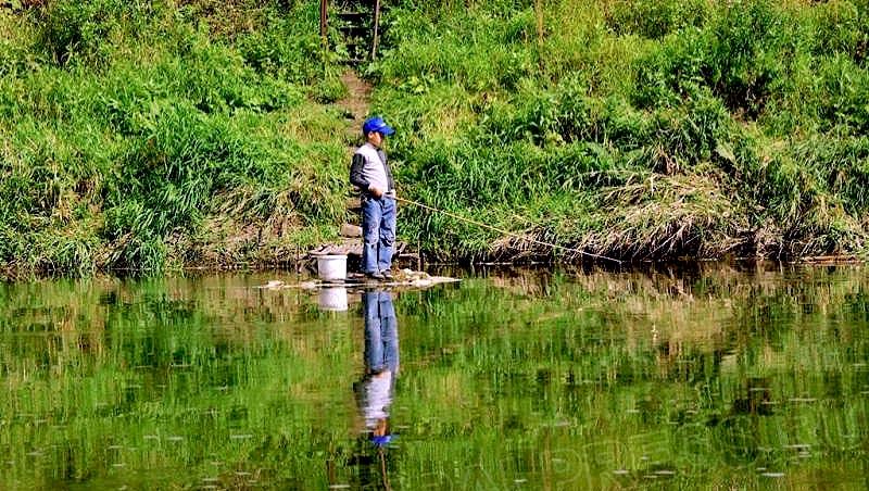 Фото Совет Федерации намерен сделать в России платной рыбалку на всех водоемах. Куда дальше?