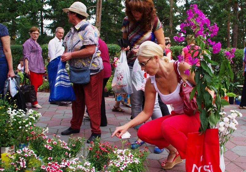 Фото Челябинск превратится в город цветов в дни саммитов в 2020 году