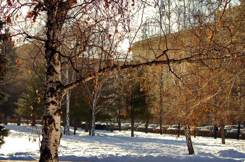 Фото Выходные в Челябинской области будут солнечными, без осадков