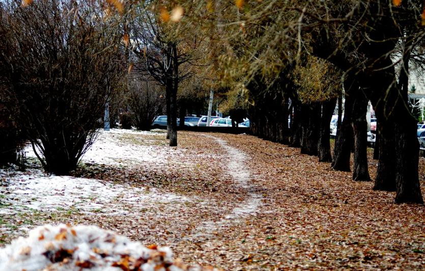Фото Во вторник в Челябинской области мокрый снег с дождем