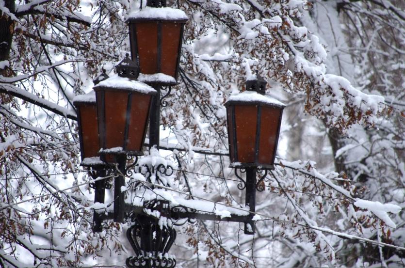 Фото В понедельник в Челябинской области снегопады и метели