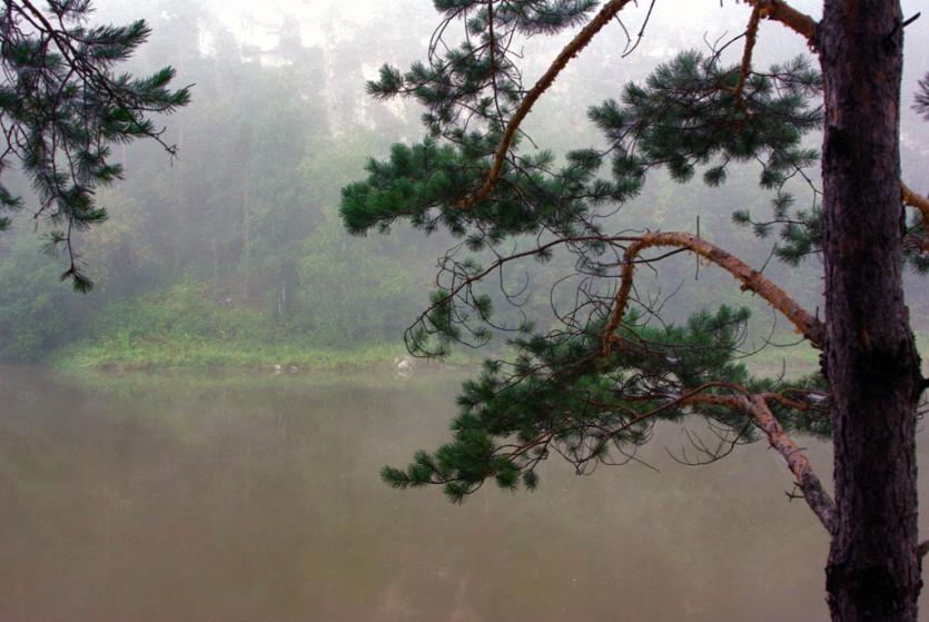 Фото В среду в Челябинской области ожидаются сильные дожди