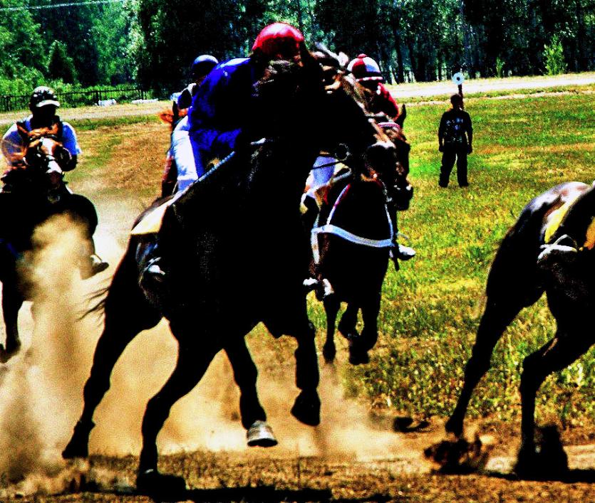 Фото Сборная Челябинской области примет участие во Всемирных играх кочевников