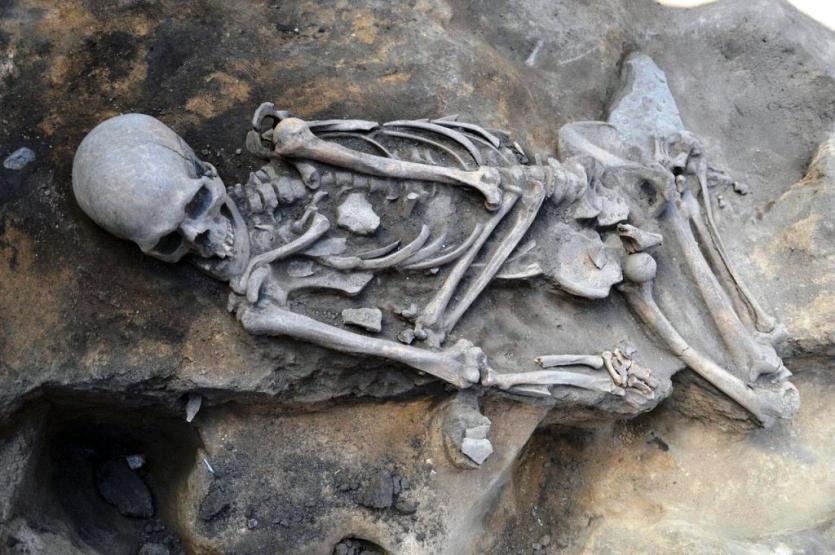 Фото На Аркаиме обнаружили погребение эпохи бронзы