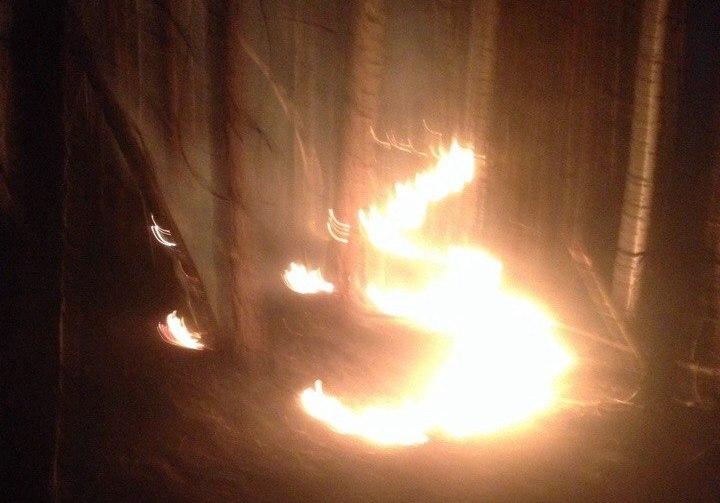Фото  В Кыштыме сгорело шесть дачных домиков, СНТ пожарные отстояли