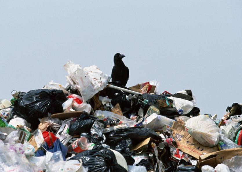 Фото Тарифы на коммунальные отходы в Магнитогорске снизят, но потом могут вновь поднять