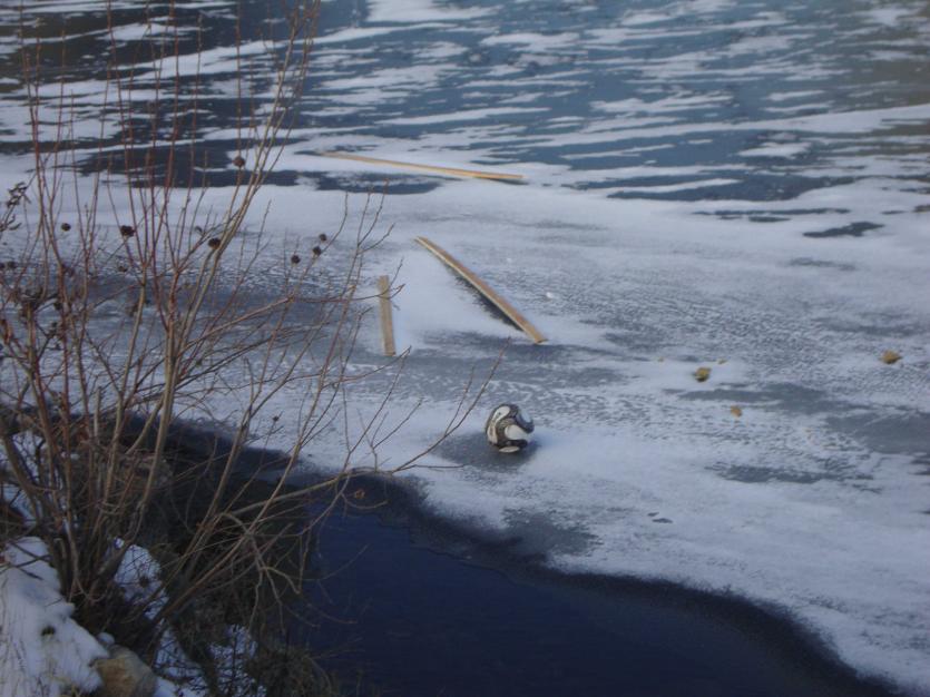 Фото В Каслинском районе на реке нашли замерзшего юношу