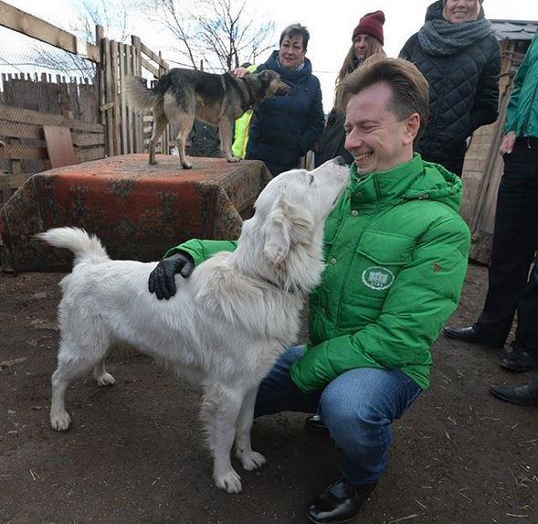 Фото Депутат Госдумы вступился за бездомных животных