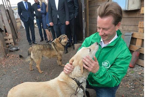 Фото Челябинский депутат заступился за тольяттинских кошек и собак