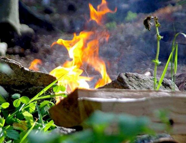 Фото В лесах Челябинской области ликвидировано 73 лесных пожара