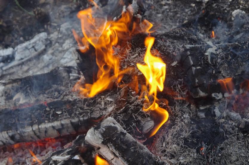 Фото Отец пятерых детей из села Октябрьского спалил лес на шесть миллионов рублей