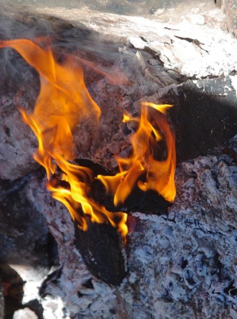 Фото Виновник лесного пожара в Кособродском лесничестве заплатит государству