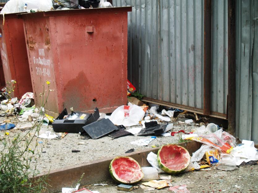 Фото Раздельный сбор мусора поможет россиянам экономить на ЖКУ