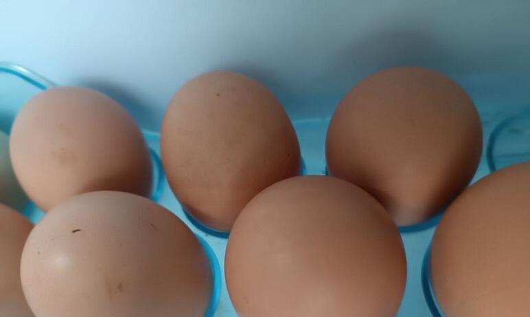 Фото В Челябинской области яйца за неделю подешевели на 0,2 процента