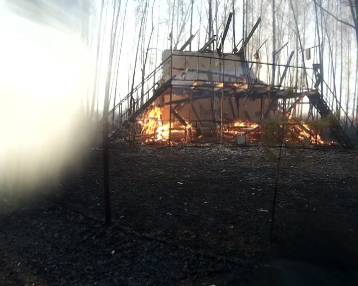 Фото В Челябинске горел СНТ «Луч», пожарным помогали спасатели