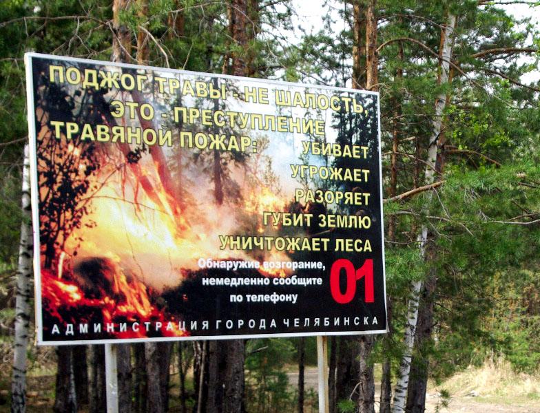 Фото Пять районов Челябинской области ввели режим ЧС в связи с пожарами