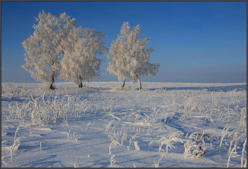 Фото Двое жителей Чесменского района замерзли в степи