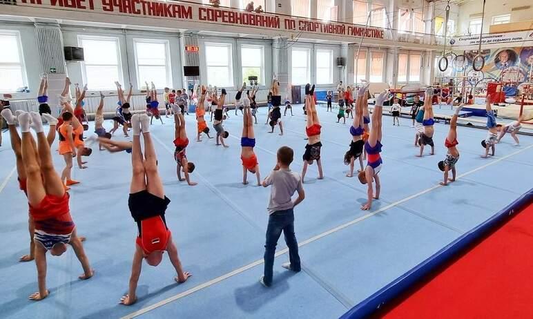Фото В Челябинске школа по спортивной гимнастике получила новый инвентарь