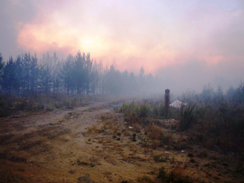 Фото В Челябинской области в два раза выросло число крупных лесных пожаров