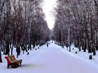 Фото В пятницу в Челябинской области тепло и снежно