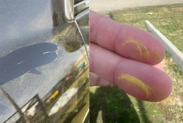 Фото Автомобили в Челябинской области за ночь покрылись зеленой пылью: Выбросы или пыльца?