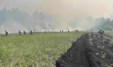 Фото В Челябинской области локализован крупный торфяной пожар