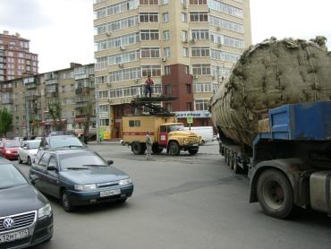 Фото В Челябинске грузовик оборвал трамвайные провода: движение общественного транспорта парализовано