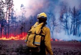 Фото В понедельник в Челябинской области горело 6,2 гектара леса