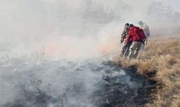 Фото В Челябинской области зафиксирован первый лесной пожар