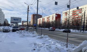 Фото Из-за снега вдоль обочин в Челябинске молодые саженцы могут погибнуть
