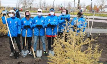 Фото Аллею спортсменов Челябинска украсили десять даурских лиственниц