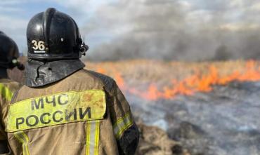 Фото В Челябинской области введен особый противопожарный режим