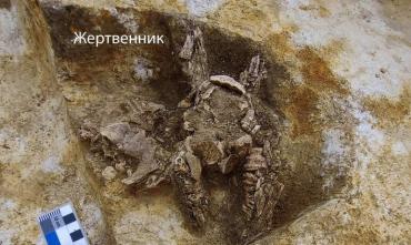 Фото В Челябинской области на детском кладбище Синташты нашли череп козла