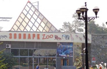 Фото Эксперты не нашли вины сотрудников челябинского зоопарка в смерти страусов