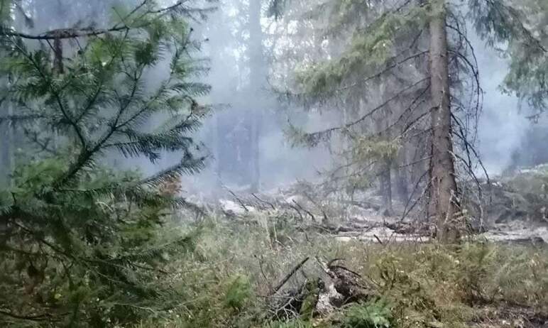 В национальном парке «Таганай» (Челябинская область) по вине туристов произошел пожар – отдыхающи