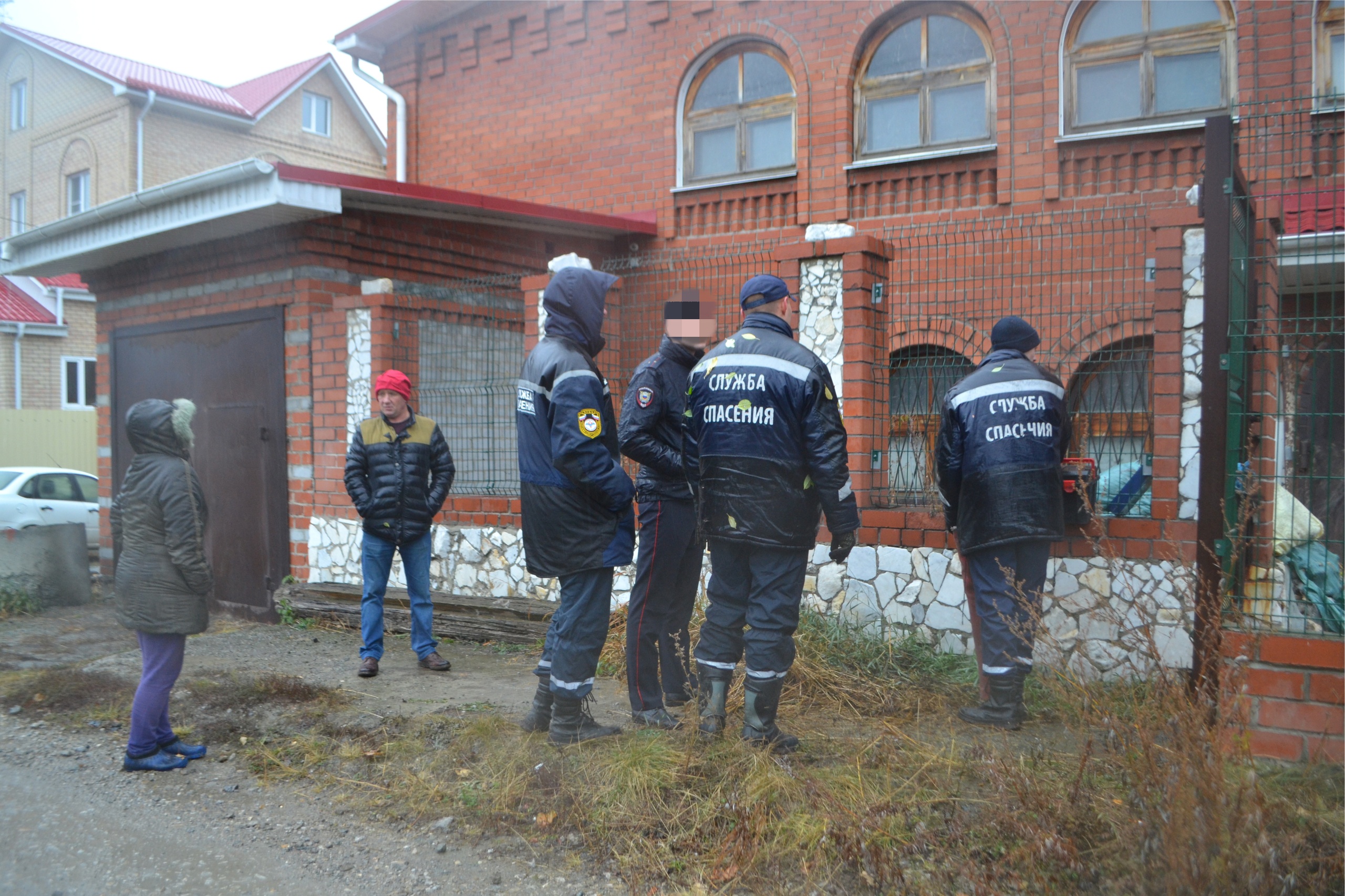 В Челябинске спасли восемь собак, хозяйка которых умерла дома | 02.11.2022  | Челябинск - БезФормата