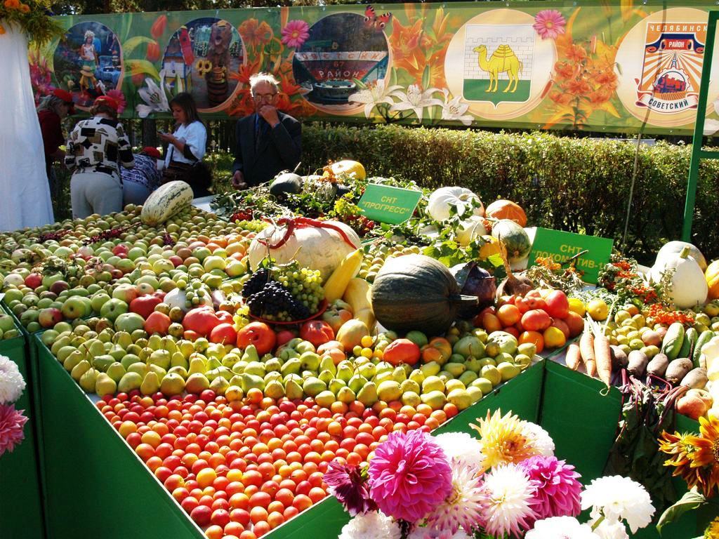 Выставки овощей. Ярмарка овощей и фруктов. Выставка овощей и фруктов. Выставка овощей. Выставка цветов и плодов.